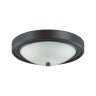 Настенно-потолочный светильник Lumion Nina 5260/2C - Настенно-потолочный светильник Lumion Nina 5260/2C
