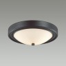 Настенно-потолочный светильник Lumion Nina 5260/2C - Настенно-потолочный светильник Lumion Nina 5260/2C