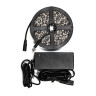 Светодиодная лента Feron 14,4W/m 60LED/m 5050SMD белый 5M LS606 41447 - Светодиодная лента Feron 14,4W/m 60LED/m 5050SMD белый 5M LS606 41447