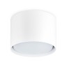 Потолочный светильник Ambrella light Techno Spot TN5301 - Потолочный светильник Ambrella light Techno Spot TN5301