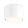 Потолочный светильник Ambrella light Techno Spot TN5301 - Потолочный светильник Ambrella light Techno Spot TN5301