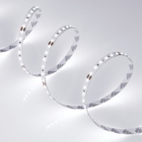  - Лента MICROLED-5000HP 24V White6000 8mm (2216, 120 LED/m, LUX) (Arlight, 14 Вт/м, IP20)