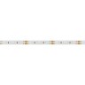 Лента MICROLED-5000HP 24V White6000 8mm (2216, 120 LED/m, LUX) (Arlight, 14 Вт/м, IP20) - Лента MICROLED-5000HP 24V White6000 8mm (2216, 120 LED/m, LUX) (Arlight, 14 Вт/м, IP20)