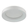 Потолочный светодиодный светильник Odeon Light Sole 4062/50CL - Потолочный светодиодный светильник Odeon Light Sole 4062/50CL
