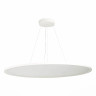 Подвесной светодиодный светильник ST Luce ST602.543.120 - Подвесной светодиодный светильник ST Luce ST602.543.120