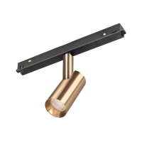  - Светильник MAG-ORIENT-SPOT-R35-6W Warm3000 (GD, 24 deg, 48V) (Arlight, IP20 Металл, 5 лет)