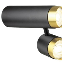  - Спот Lumien Hall Саурис LH8020/2C-BK-GD