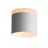 Потолочный светодиодный светильник ST Luce Panaggio ST102.502.12 - Потолочный светодиодный светильник ST Luce Panaggio ST102.502.12