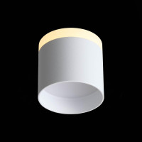  - Потолочный светодиодный светильник ST Luce Panaggio ST102.502.12