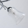 Потолочная люстра MW-Light Мечта 297013806 - Потолочная люстра MW-Light Мечта 297013806
