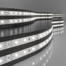 Светодиодная лента Elektrostandard 4,8W/m 60LED/m 2835SMD дневной белый 5M 4690389154850 - Светодиодная лента Elektrostandard 4,8W/m 60LED/m 2835SMD дневной белый 5M 4690389154850