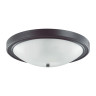 Настенно-потолочный светильник Lumion Nina 5260/4C - Настенно-потолочный светильник Lumion Nina 5260/4C