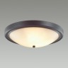 Настенно-потолочный светильник Lumion Nina 5260/4C - Настенно-потолочный светильник Lumion Nina 5260/4C