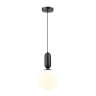 Подвесной светильник Odeon Light Okia 4668/1 - Подвесной светильник Odeon Light Okia 4668/1