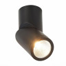 Светодиодный спот ST Luce ST650.432.10 - Светодиодный спот ST Luce ST650.432.10