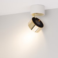  - Светильник SP-PLURIO-SURFACE-R77-9W Day4000 (WH-BRS, 36 deg, 230V) (Arlight, IP20 Металл, 3 года)