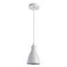 Подвесной светильник Arte Lamp 48 A5049SP-1WH - Подвесной светильник Arte Lamp 48 A5049SP-1WH