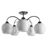 Потолочная люстра Arte Lamp Millo A9548PL-5CC - Потолочная люстра Arte Lamp Millo A9548PL-5CC