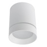Потолочный светодиодный светильник Arte Lamp Elle A1949PL-1WH - Потолочный светодиодный светильник Arte Lamp Elle A1949PL-1WH