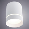 Потолочный светодиодный светильник Arte Lamp Elle A1949PL-1WH - Потолочный светодиодный светильник Arte Lamp Elle A1949PL-1WH
