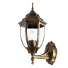 Уличный настенный светильник Arte Lamp Pegasus A3151AL-1BN - Уличный настенный светильник Arte Lamp Pegasus A3151AL-1BN