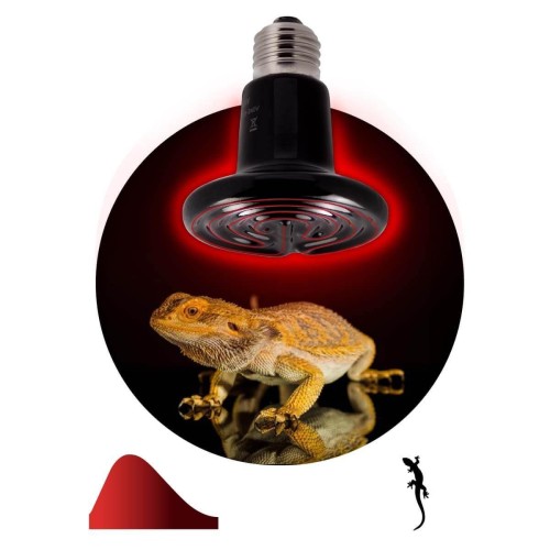 Инфракрасный нагреватель ЭРА FITO-100W-НQ Б0052715 