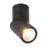 Светодиодный спот ST Luce ST650.442.10 - Светодиодный спот ST Luce ST650.442.10