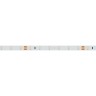 Лента RT 2-5000 24V Day4000 (3528, 300 LED, CRI98) (Arlight, 4.8 Вт/м, IP20) - Лента RT 2-5000 24V Day4000 (3528, 300 LED, CRI98) (Arlight, 4.8 Вт/м, IP20)