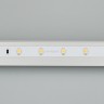 Лента RT 2-5000 24V Day4000 (3528, 300 LED, CRI98) (Arlight, 4.8 Вт/м, IP20) - Лента RT 2-5000 24V Day4000 (3528, 300 LED, CRI98) (Arlight, 4.8 Вт/м, IP20)
