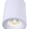 Потолочный светильник Arte Lamp Ugello A3112PL-1WH - Потолочный светильник Arte Lamp Ugello A3112PL-1WH