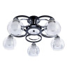 Потолочная люстра Arte Lamp Ginevra A1604PL-5BK - Потолочная люстра Arte Lamp Ginevra A1604PL-5BK