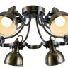 Потолочная люстра Arte Lamp Martin A5216PL-8AB - Потолочная люстра Arte Lamp Martin A5216PL-8AB
