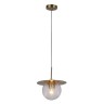 Подвесной светильник F-Promo Roshni 3049-1P - Подвесной светильник F-Promo Roshni 3049-1P