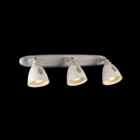  - Спот Maytoni Agnes SP289-CW-03-BG