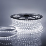 Светодиодная влагозащищенная лента Apeyron 6W/m 60LED/m 2835SMD холодный белый 50M 10-62 - Светодиодная влагозащищенная лента Apeyron 6W/m 60LED/m 2835SMD холодный белый 50M 10-62