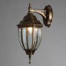 Уличный настенный светильник Arte Lamp Pegasus A3152AL-1BN - Уличный настенный светильник Arte Lamp Pegasus A3152AL-1BN