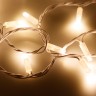 Светодиодная гирлянда ARD-STRING-PRO-10000-WHITE-100LED-FLASH WARM (230V, 7W) (Ardecoled, IP65) - Светодиодная гирлянда ARD-STRING-PRO-10000-WHITE-100LED-FLASH WARM (230V, 7W) (Ardecoled, IP65)
