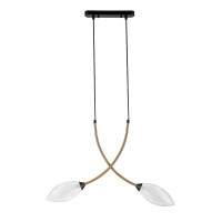  - Подвесная люстра Indigo Fiore 13001/2P Black V000140