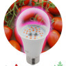 Лампа светодиодная для растений ЭРА E27 10W 1310K прозрачная Fito-10W-RB-E27 Б0050600 - Лампа светодиодная для растений ЭРА E27 10W 1310K прозрачная Fito-10W-RB-E27 Б0050600