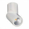 Светодиодный спот ST Luce ST650.542.10 - Светодиодный спот ST Luce ST650.542.10