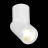 Светодиодный спот ST Luce ST650.542.10 - Светодиодный спот ST Luce ST650.542.10