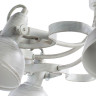 Потолочная люстра Arte Lamp Martin A5216PL-8WG - Потолочная люстра Arte Lamp Martin A5216PL-8WG