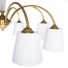 Потолочная люстра Arte Lamp Gracie A7301PL-8PB - Потолочная люстра Arte Lamp Gracie A7301PL-8PB
