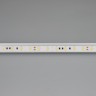 Лента ULTRA-5000 24V Day4000 2x (5630, 300 LED, LUX) (Arlight, 30 Вт/м, IP20) - Лента ULTRA-5000 24V Day4000 2x (5630, 300 LED, LUX) (Arlight, 30 Вт/м, IP20)