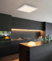  - Потолочный светодиодный светильник Globo Rosi 41604D2F