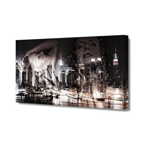 Холст Toplight 50х100х2см TL-H3041 