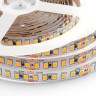 Светодиодная лента Apeyron 18W/m 168Led/m 2835SMD дневной белый 1M 248BL - Светодиодная лента Apeyron 18W/m 168Led/m 2835SMD дневной белый 1M 248BL