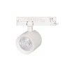 Светильник LGD-NIKA-4TR-R100-20W Day4000 (WH, 24 deg, 230V) (Arlight, IP20 Металл, 5 лет) - Светильник LGD-NIKA-4TR-R100-20W Day4000 (WH, 24 deg, 230V) (Arlight, IP20 Металл, 5 лет)