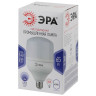 Лампа светодиодная ЭРА E40 65W 6500K матовая LED POWER T160-65W-6500-E27/E40 Б0027924 - Лампа светодиодная ЭРА E40 65W 6500K матовая LED POWER T160-65W-6500-E27/E40 Б0027924