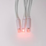 Светодиодная гирлянда Uniel занавес 220V красный ULD-C2030-240/TWK RED IP67 UL-00001357 - Светодиодная гирлянда Uniel занавес 220V красный ULD-C2030-240/TWK RED IP67 UL-00001357